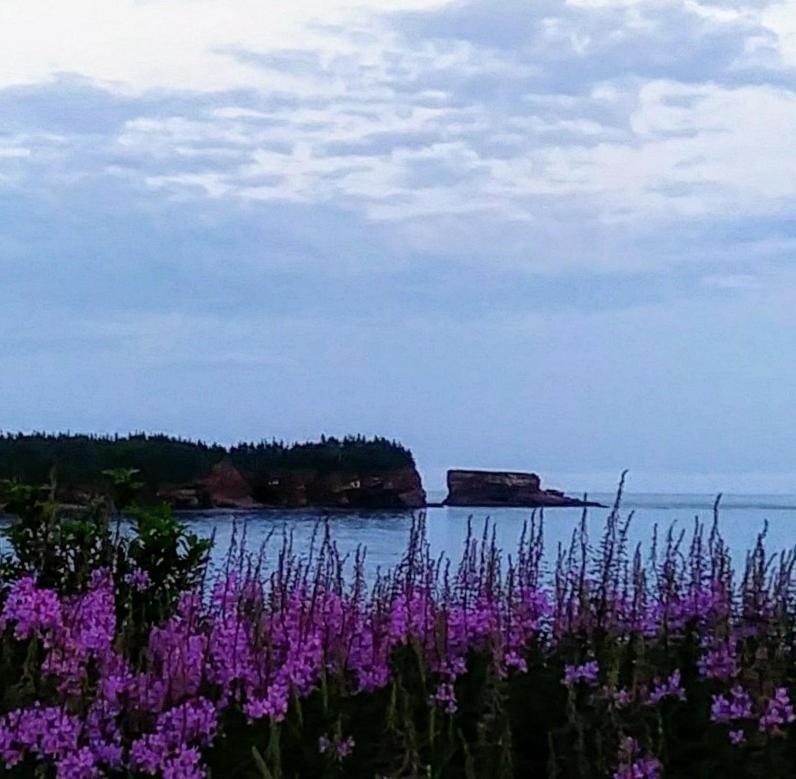Gardner Creek Moore'S Specialties Fundy Bay House Rental المظهر الخارجي الصورة