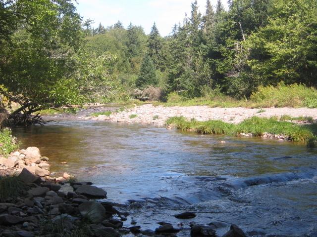 Gardner Creek Moore'S Specialties Fundy Bay House Rental المظهر الخارجي الصورة