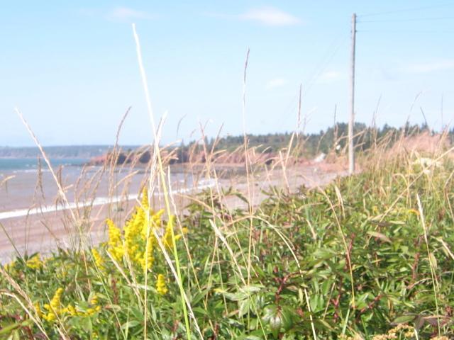 Gardner Creek Moore'S Specialties Fundy Bay House Rental المظهر الخارجي الصورة