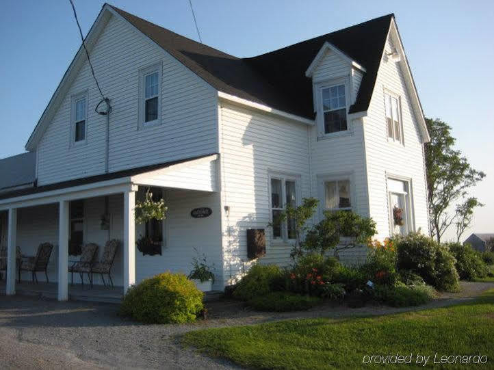 Gardner Creek Moore'S Specialties Fundy Bay House Rental المظهر الخارجي الصورة