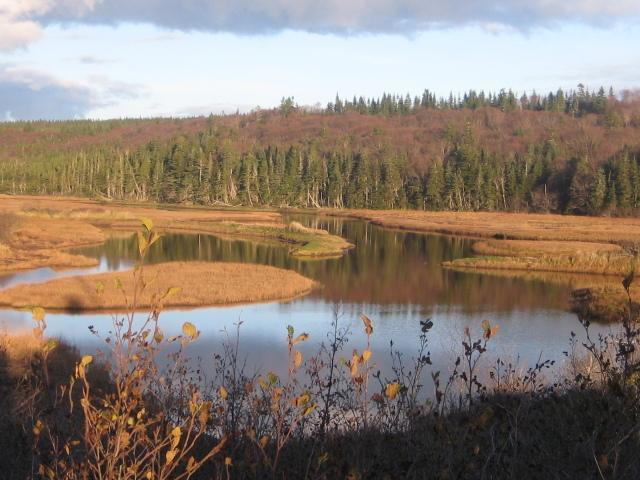 Gardner Creek Moore'S Specialties Fundy Bay House Rental المظهر الخارجي الصورة