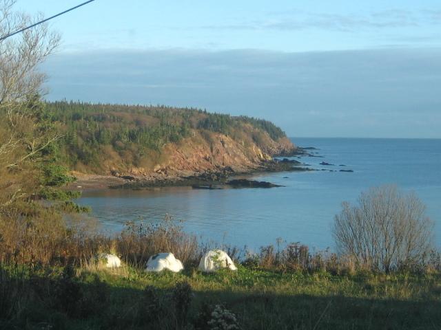 Gardner Creek Moore'S Specialties Fundy Bay House Rental المظهر الخارجي الصورة